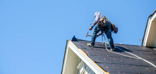 Best Metal Roofing Contractor  in Worland, WY